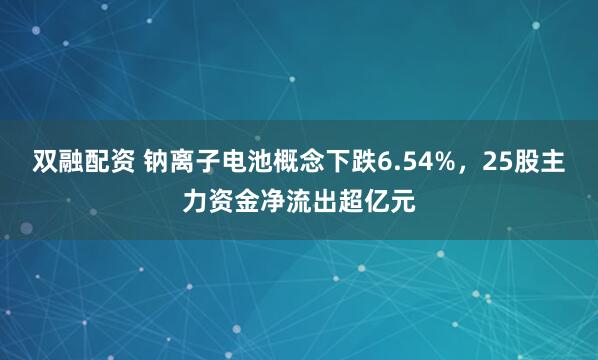 双融配资 钠离子电池概念下跌6.54%，25股主力资金净流出超亿元