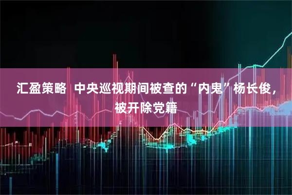 汇盈策略  中央巡视期间被查的“内鬼”杨长俊，被开除党籍