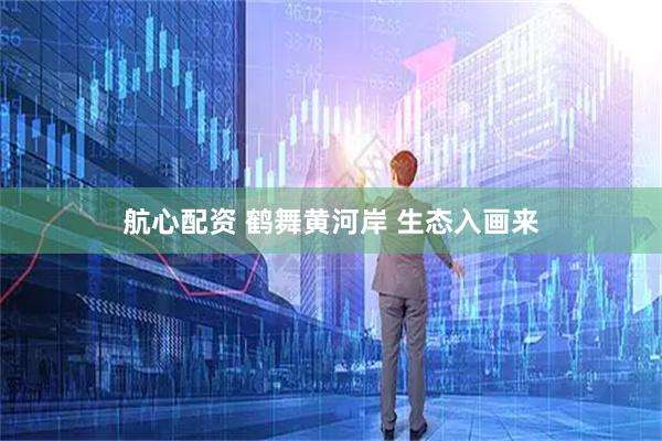 航心配资 鹤舞黄河岸 生态入画来