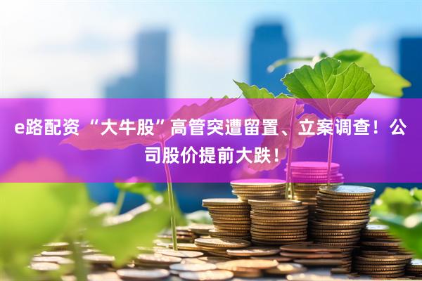 e路配资 “大牛股”高管突遭留置、立案调查！公司股价提前大跌！