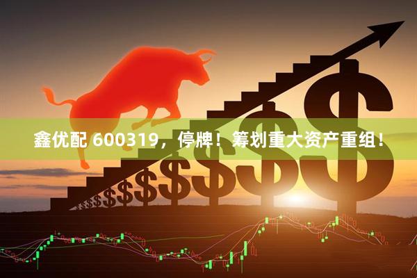 鑫优配 600319，停牌！筹划重大资产重组！