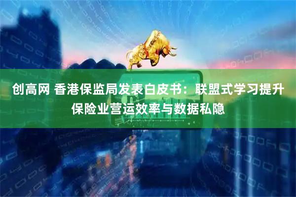 创高网 香港保监局发表白皮书：联盟式学习提升保险业营运效率与数据私隐