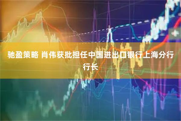 驰盈策略 肖伟获批担任中国进出口银行上海分行行长