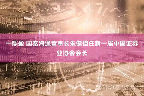 一鼎盈 国泰海通董事长朱健担任新一届中国证券业协会会长