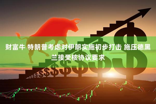财富牛 特朗普考虑对伊朗实施初步打击 施压德黑兰接受核协议要求